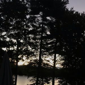 Meet your Posher, Emelia